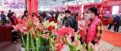 定位：港珠澳大桥！粤港澳大湾区迎首次海上花式