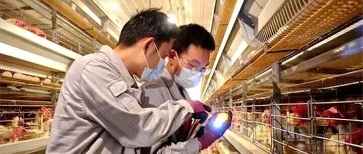 莞铜共建51个“菜篮子”直供粤港澳大湾区